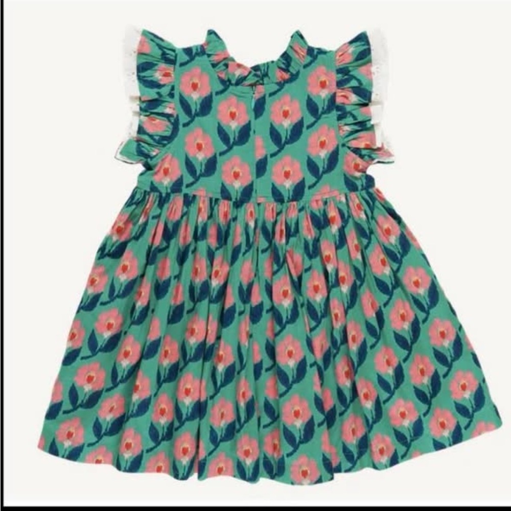 Pink Chicken 5 Leila Ikat Floral Dress